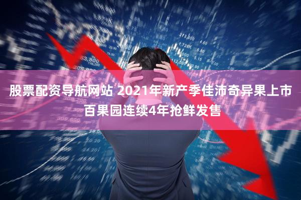 股票配资导航网站 2021年新产季佳沛奇异果上市 百果园连续4年抢鲜发售