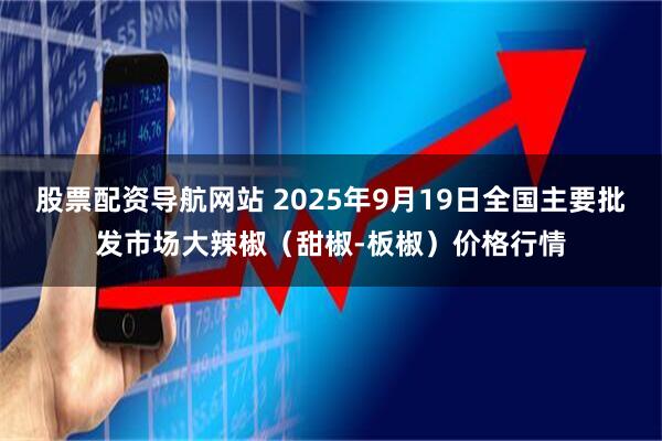 股票配资导航网站 2025年9月19日全国主要批发市场大辣椒（甜椒-板椒）价格行情